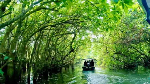 ケララ バックウォーター